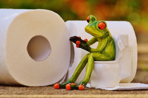 frog-toilet-loo-session-funny-toilet-paper-wc-2